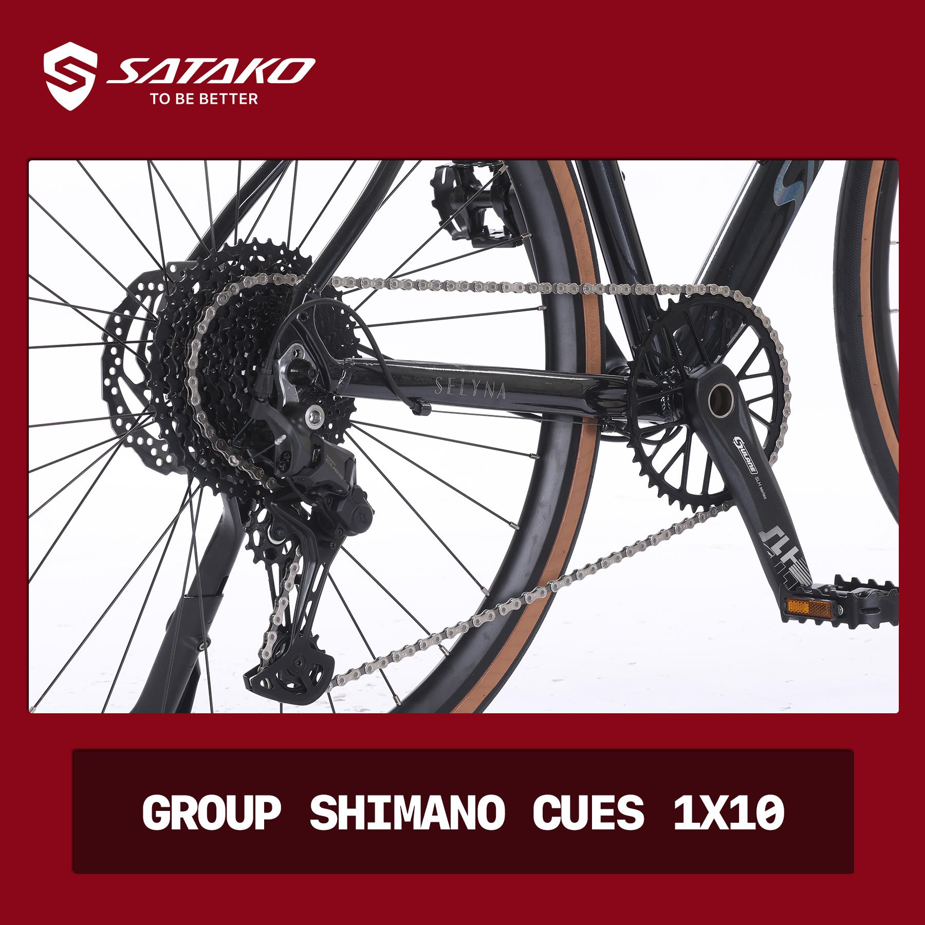 xe-dap-satako-selyna-shimano-cues-10-toc-do.jpg